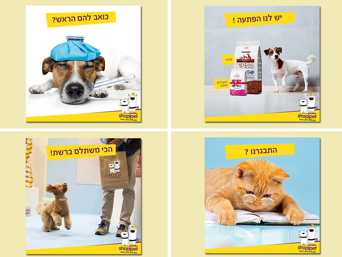 שופיפט מיתוג